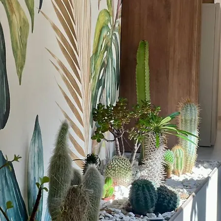 Guest house Athenea Smart - Atenea Collection